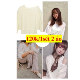 Có sẵn sét áo gu trong cotton form thường ngoài pha form rộng
