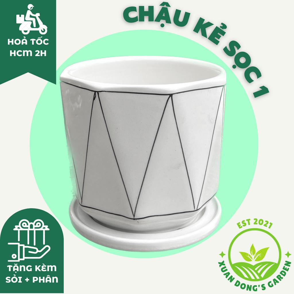 Chậu sứ trồng cây XUAN DONG GARDEN kèm đĩa hứng nước, chậu trồng cây đẹp để bàn, cây văn phòng