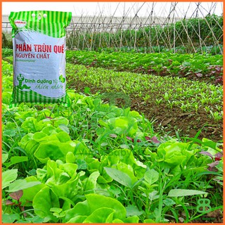 Phân Trùn Quế Lavamix Đã Qua Xử Lý, Phân Trùn Hữu cơ nhiều dinh dưỡng, dùng cho mọi loại cây trồng Vuonbabylon - Túi 5Kg