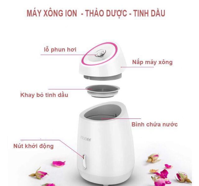 MÁY XÔNG HƠI DA MẶT HOA QUẢ TƯƠI TỰ ĐỘNG 2 IN 1 MAOER