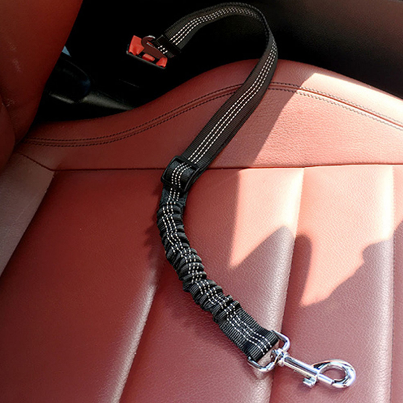 Dây Thắt Lưng An Toàn Co Giãn Cho Thú Cưng