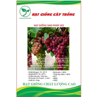 Hạt giống nho leo giàn pháp ct303 - gói 10 hạt