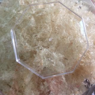 100gr yến sào vụn