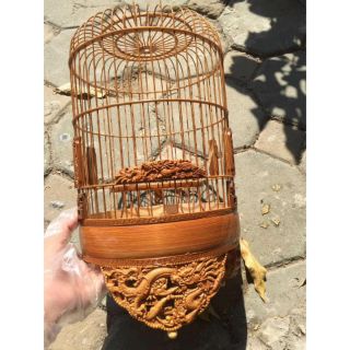 Lồng khuyên đẹp