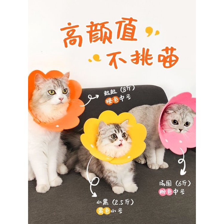 Vòng Đeo Cổ Hình Hoa Hướng Dương Elizabeth Bằng Vải Nỉ Nhẹ Chống Đá Khử Trùng papa03.my6.17
