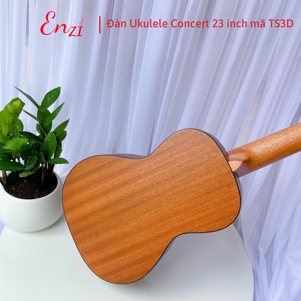 Đàn ukulele concert TS3D Enzi 23 inch gỗ mộc họa tiết cây dừa khóa đúc giá rẻ cho bạn mới bắt đầu tập chơi