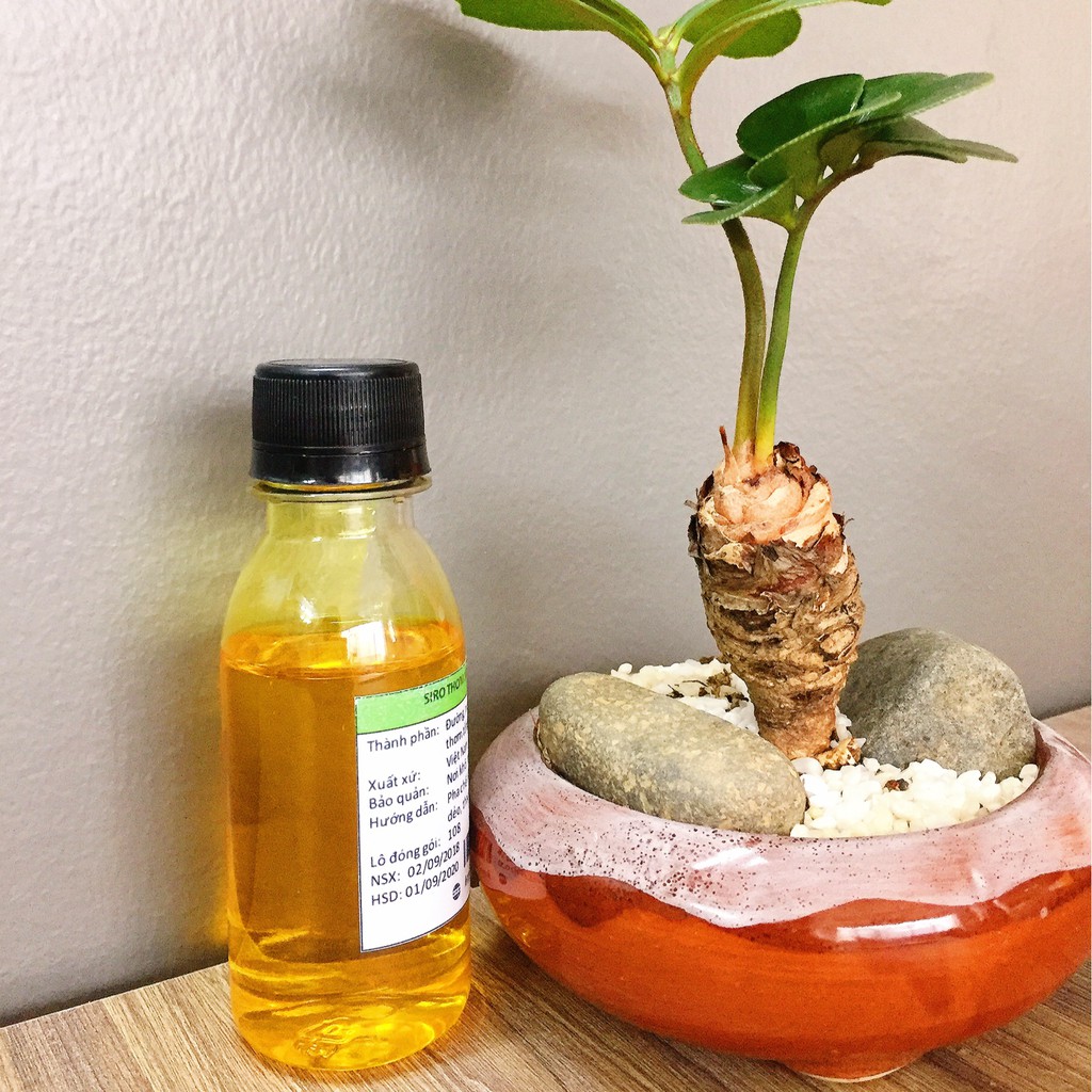 🌸🍍Siro THƠM - 100ML🌸🍍