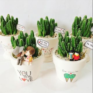 Thanh sơn mix CHẬU VẼ để bàn