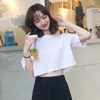 ÁO CROPTOP CỔ TRÒN TAY LỠ DÀI UNISEX HOT - (Sp sẵn)