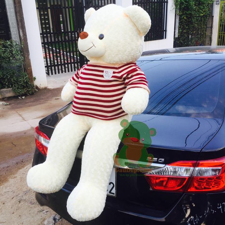 Gấu bông Teddy Cao Cấp khổ vải 1,2m Cao 1m Màu Kem