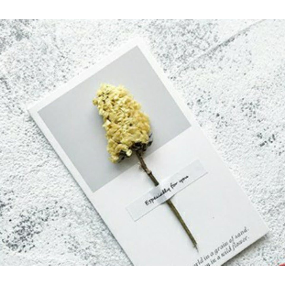 Thiệp Hoa Khô Cao Cấp Chúc Mừng Tình Nhân, Ngày Nhà Giáo 20/11, Sinh Nhật - Art và Đời Sống