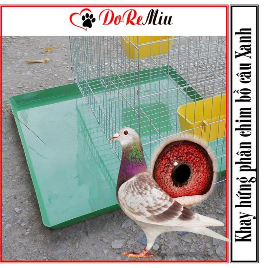 Giảm giáSTHA- Khay hứng phân chim bồ câu 50x50cm có thể làm mâm hứng chuồng thú cưng