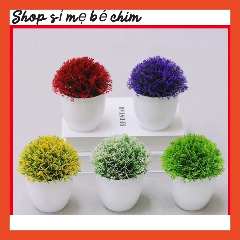 Chậu cây xanh nhân tạo để bàn trang trí, để kệ tủ độc đáo 10cm x 14cm (chọn màu)