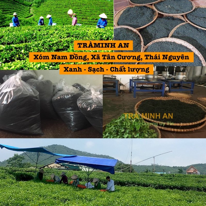 200g trà xanh Tân Cương nõn tôm đặc sản - chè Thái Nguyên nước xanh thơm cốm hậu ngọt sạch Làm quà biếu tặng xưởng Minh 