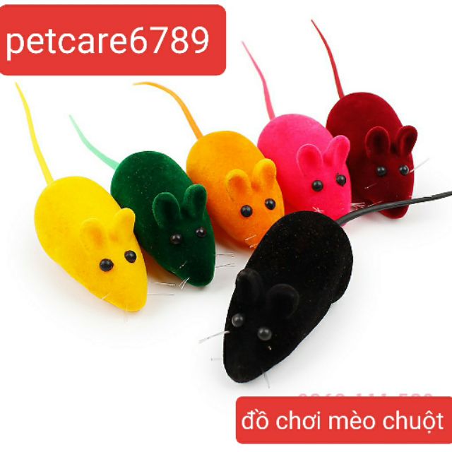 Đồ chơi mèo chuột