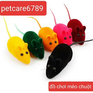 Đồ chơi mèo chuột
