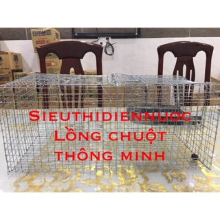 LỒNG BẮT CHUỘT-LỒNG BẪY CHUỘT THÔNG MINH