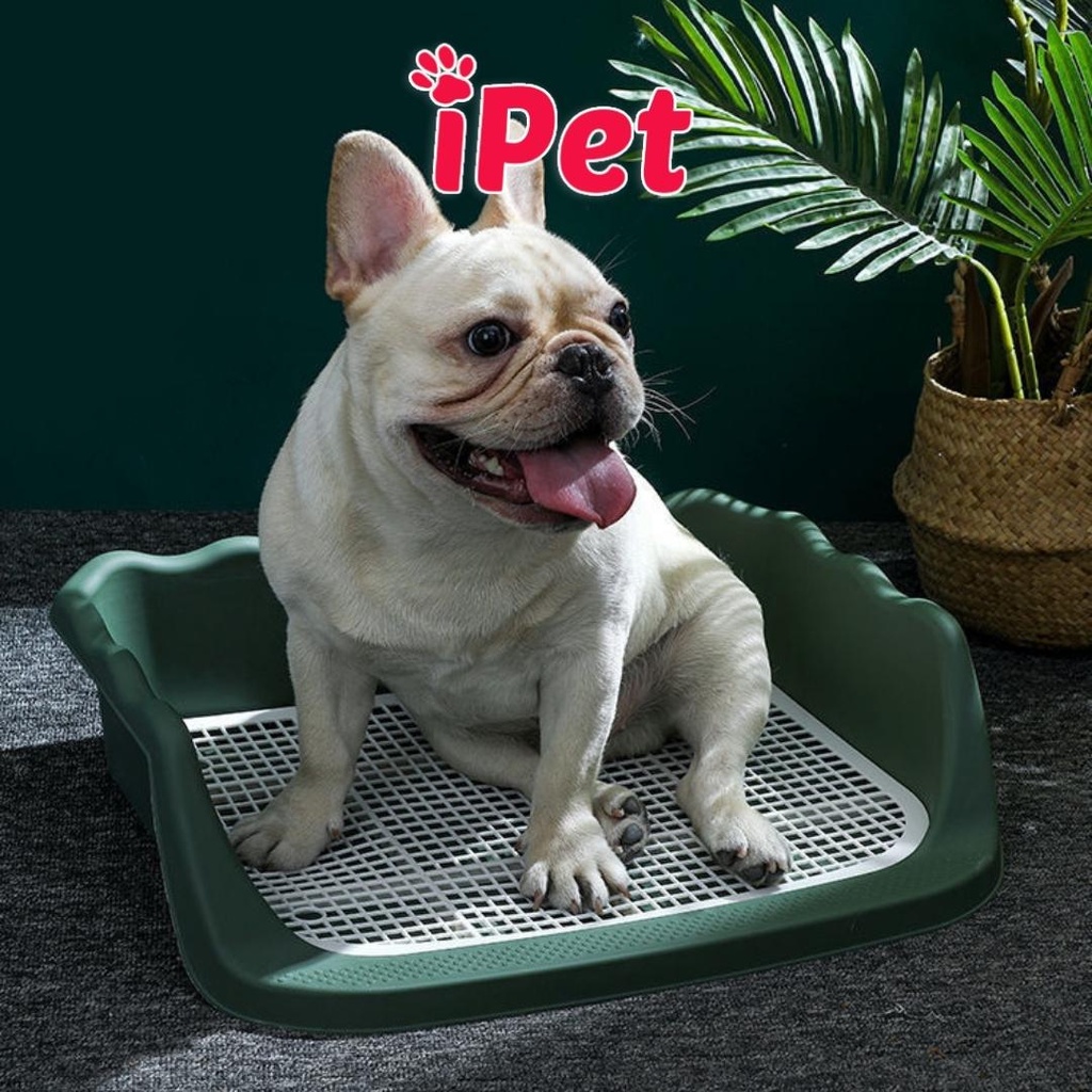 Khay vệ sinh cho chó cái thành cao lượn sóng - iPet Shop
