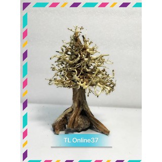 [Siêu Rẻ] Lũa bonsai cây thông noel trang trí bể cá thuỷ sinh