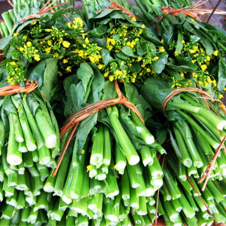 Hạt giống cải ngồng cao sản (tặng kèm phân)