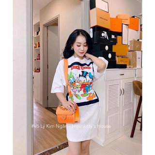 Đầm con vịt bigsize (bigsize haihai)