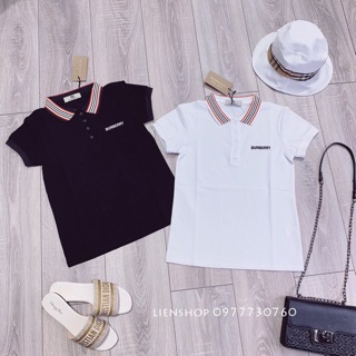 Bán sỉ áo polo BBR cho nữ