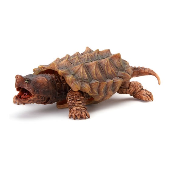 MÔ HÌNH TRỨNG GASHAPON BANDAI Rùa  TURTLE 05 NGẪU NHIÊN