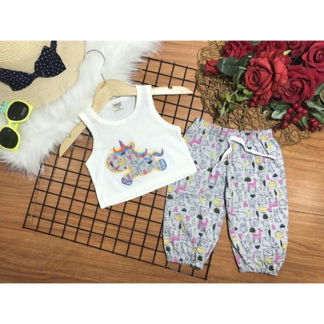 Combo 5 bộ