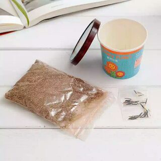 Set trồng cây DIY
