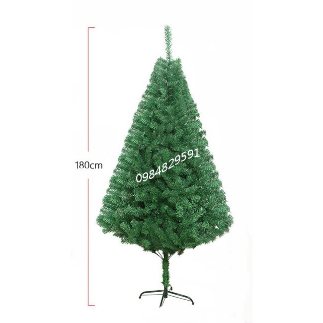 Cây Thông Noel Cao 1m80, Tán Dày, Rộng