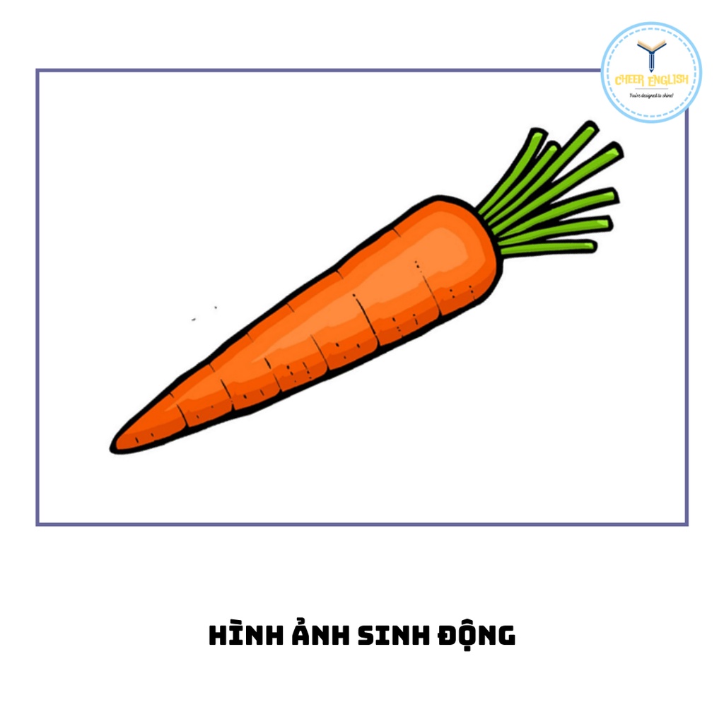 Flashcard chủ đề rau củ thẻ học từ vựng Tiếng Anh ép plastic