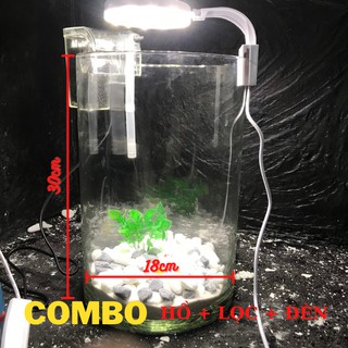 Bể cá mini để bàn COMBO kèm phụ kiện ( ống 18x30 )