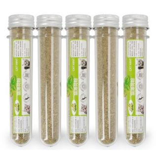 cỏ bạc hà cho mèo - catnip cho mèo - 10g ống