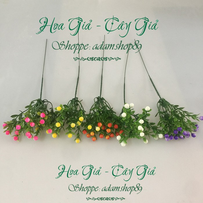 Hoa giả - Hoa Chiêm Điểm
