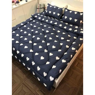 Chăn Phao Cotton Poly 1m8x2m