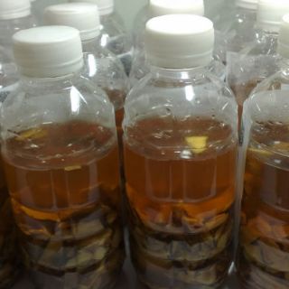 củ địa liền