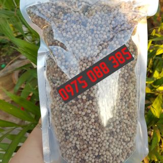 Hạt tiêu sọ daklak - 1kg