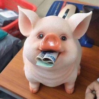 Lợn tiết kiệm cao cấp