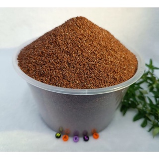 Hạt ngũ hoa