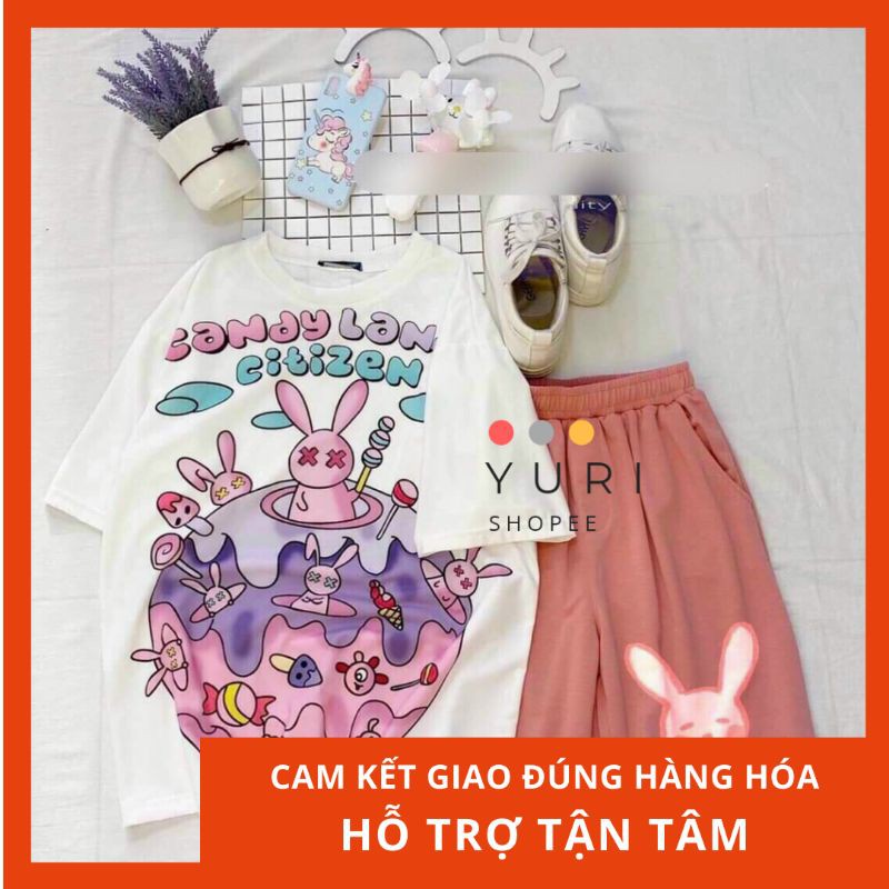 Set áo thun hoạt hình monster quần đùi hồng