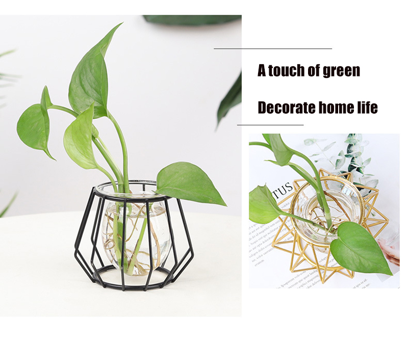 Bắc Âu Vàng Bình Thủy Tinh Terrarium Hình Học Sắt Dây Chuyền Bình Thủy Canh Vật Có Bình Hoa Kim Loại Vật Có Giá Đỡ Trang Trí Nhà Hiện Đại