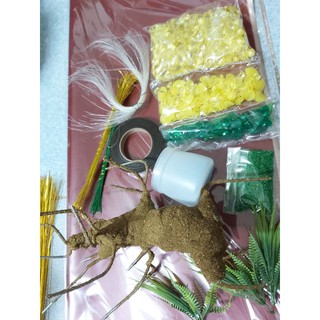 Set nguyên liệu làm cây mai đá