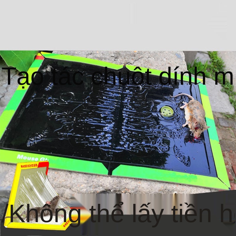 Q Chuột dán bảng chống mạnh mẽ dùng để bắt lồng, keo bẫy chuột, một đầu tổ gia đình siêu dính đồ tạo tác