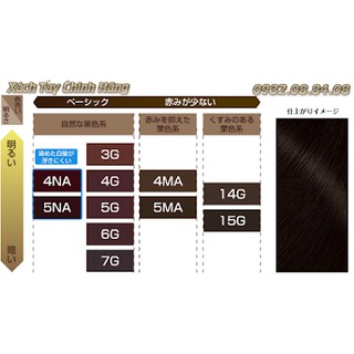 THUỐC NHUỘM TÓC PHỦ BẠC BIGEN NHẬT