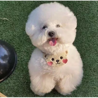 ❣️ Yếm đeo cổ dễ thương cho chó mèo