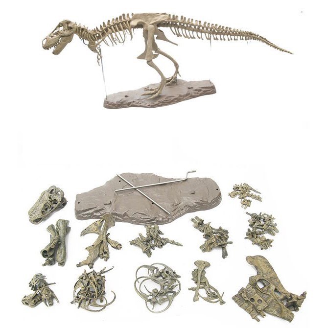 Mô hình Khủng Long Bạo Chúa T-Rex 5D