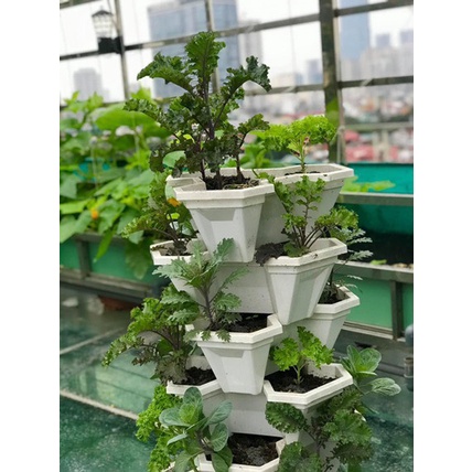 Kệ (Chậu) tầng trồng rau, trồng hoa, hàng Việt Nhật cao cấp đủ màu.