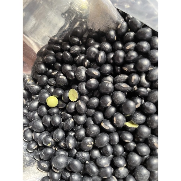 ĐẬU ĐEN XANH LÒNG ,THUẦN CHỦNG HỮU CƠ TỰ NHIÊN (100GR)