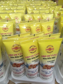 Sưa rưa mặt linh chi vàng