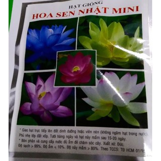 Hạt giống HOA SEN NHẬT MINI - GÓI 5 HẠT